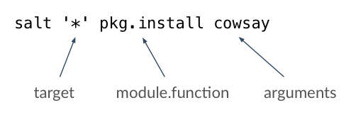 ../../_images/salt-cmd-syntax.png